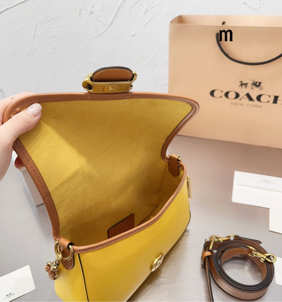 Woman coach spring Handbag